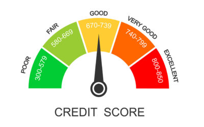 Why is My Business Credit Score Important?
